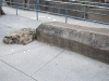 DSCF2081.JPG Sat Dec  3 13:53:46 2011
