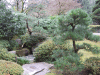 DSCF2092.JPG Sat Dec  3 14:13:22 2011