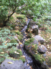 DSCF2097.JPG Sat Dec  3 19:24:45 2011