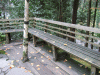 DSCF2099.JPG Sat Dec  3 14:21:56 2011