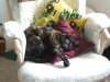 DSCF2157.JPG Sat Dec 17 14:47:18 2011