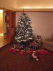 DSCF2200.JPG Fri Mar 23 21:02:51 2012
