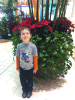 KLV_0617.JPG Tue Nov 29 19:28:32 2011