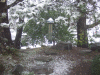 MB1_0066.JPG Tue Mar 13 08:33:50 2012