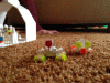 RLV_1163.JPG Wed Apr 11 18:41:57 2012