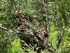 RLV_1392.JPG Sun May  6 12:42:08 2012
