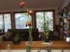 MB0_0156.JPG Tue Jun  5 15:36:34 2012