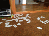 RLV_1855.JPG Sat Jul 21 07:47:14 2012