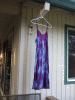 DSCF2452.JPG Sat Jul 14 19:47:06 2012