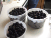 MB0_0235.JPG Thu Aug 16 13:00:44 2012
