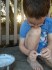 RLV_1950.JPG Mon Aug  6 19:46:25 2012