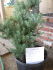 DSCF2546.JPG Tue Oct 30 22:24:57 2012