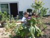 DSCF2553.JPG Sat Aug 25 09:09:34 2012