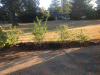 PAD_0013.JPG Wed Aug 29 17:42:00 2012