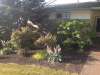 PAD_0055.JPG Sun Sep  2 07:40:38 2012