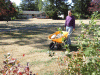 DSCF2635.JPG Sat Oct  6 11:16:00 2012