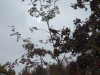 DSCF2698.JPG Sat Oct 27 09:34:14 2012