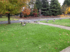 RLV_2377.JPG Sat Nov  3 13:30:33 2012