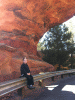 KLV_1296.JPG Sat Nov 10 12:22:37 2012