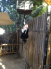 RLV_2397.JPG Fri Nov  9 12:49:13 2012
