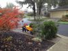 RLV_2552.jpg Thu Nov  7 21:49:31 2013