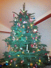 KLV_1379.jpg Thu Nov  7 21:49:39 2013