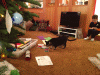 RLV_2610.jpg Thu Nov  7 21:49:43 2013