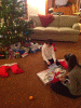 PAD_0089.jpg Thu Nov  7 21:50:15 2013