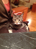 RLV_2770.jpg Thu Nov  7 21:50:43 2013