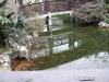 DSCF2775.jpg Thu Nov  7 21:50:49 2013