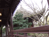 DSCF2783.jpg Thu Nov  7 21:50:50 2013
