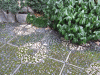 DSCF2786.jpg Thu Nov  7 21:50:51 2013