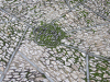 DSCF2789.jpg Thu Nov  7 21:50:52 2013