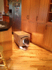 RLV_2824.jpg Thu Nov  7 21:51:07 2013