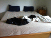 KLV_1517.jpg Thu Nov  7 21:52:25 2013