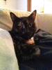 RLV_2883.jpg Thu Nov  7 21:52:35 2013
