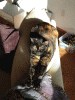 RLV_2934.jpg Thu Nov  7 21:53:57 2013