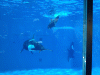 RLV_3005.jpg Thu Nov  7 21:54:13 2013