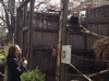 RLV_3170.jpg Thu Nov  7 21:54:51 2013