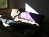 KLV_1689.jpg Thu Nov  7 21:55:47 2013