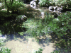 DSCF3015.jpg Thu Nov  7 22:00:03 2013