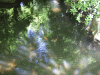 DSCF3034.jpg Thu Nov  7 22:00:06 2013