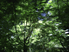 DSCF3035.jpg Thu Nov  7 22:00:07 2013
