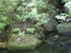 DSCF3042.jpg Thu Nov  7 22:00:08 2013