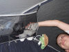 DSCF3104.jpg Thu Nov  7 22:01:16 2013