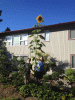 RLV_3635.jpg Thu Nov  7 23:01:31 2013