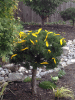 RLV_3642.JPG Fri Sep  6 17:35:50 2013
