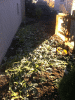 KLV_1997.JPG Tue Oct 29 17:08:46 2013