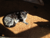 RLV_3746.JPG Wed Oct 16 12:57:36 2013