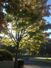 RLV_3747.JPG Fri Oct 18 09:11:55 2013